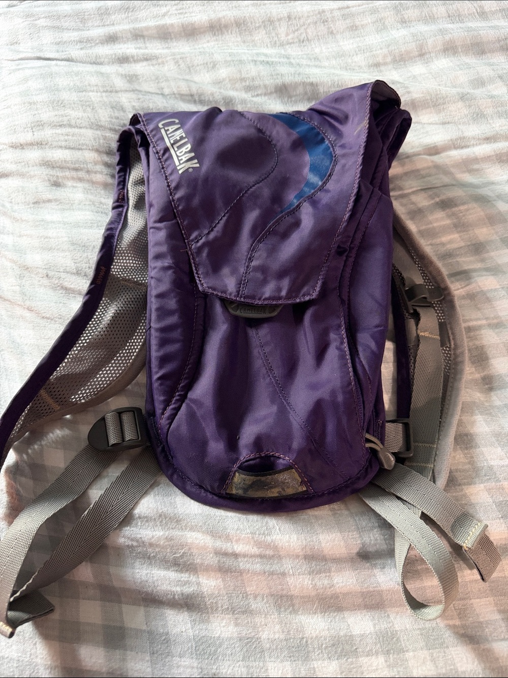 CamelBak Purple Hydration Pack with Gray Straps
